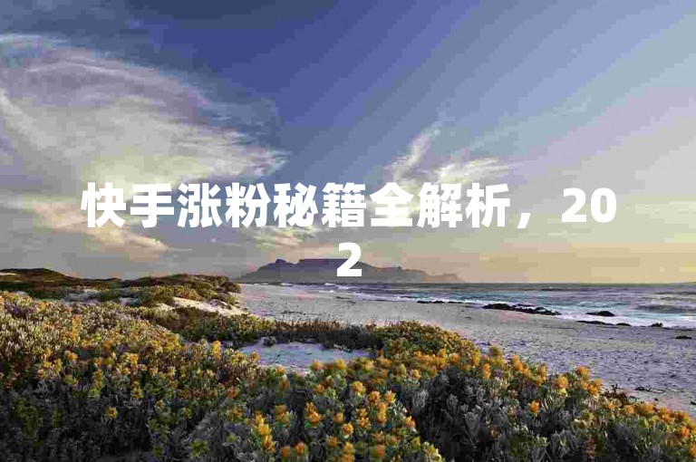快手涨粉秘籍全解析，2025最新全自动快手涨粉工具使用及技巧大公开！