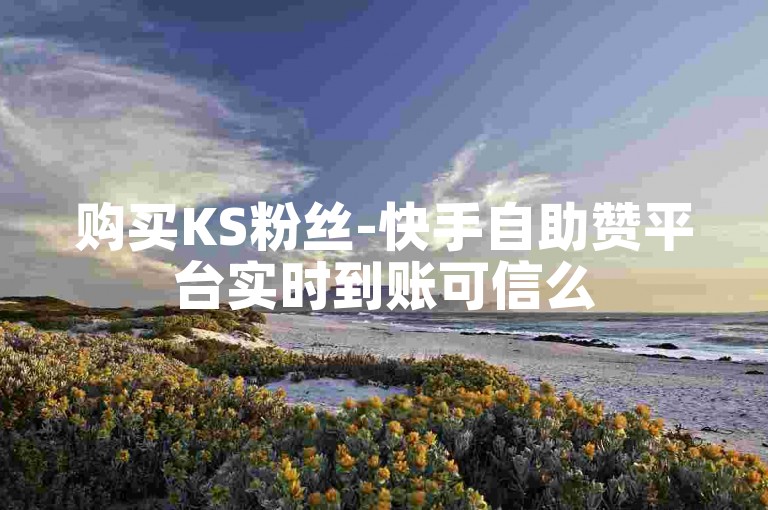 购买KS粉丝-快手自助赞平台实时到账可信么