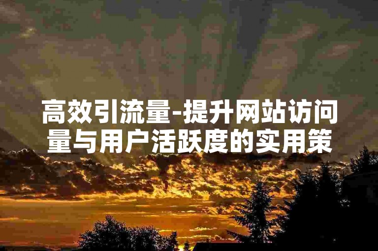 高效引流量-提升网站访问量与用户活跃度的实用策略