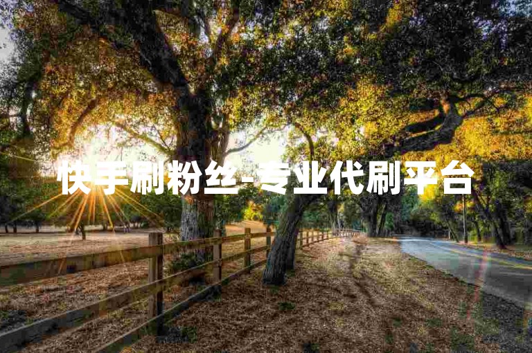 快手刷粉丝-专业代刷平台