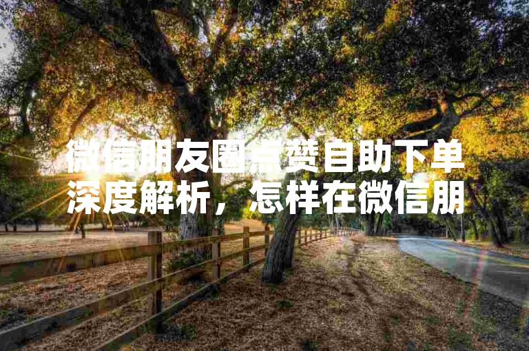 微信朋友圈点赞自助下单深度解析，怎样在微信朋友圈轻松实现点赞自助下单？2025必备，ks点赞实时到账 - 抖音自助平台全新登场！