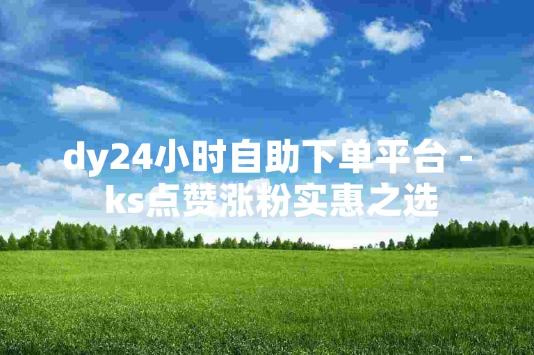 dy24小时自助下单平台 - ks点赞涨粉实惠之选