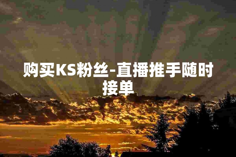 购买KS粉丝-直播推手随时接单