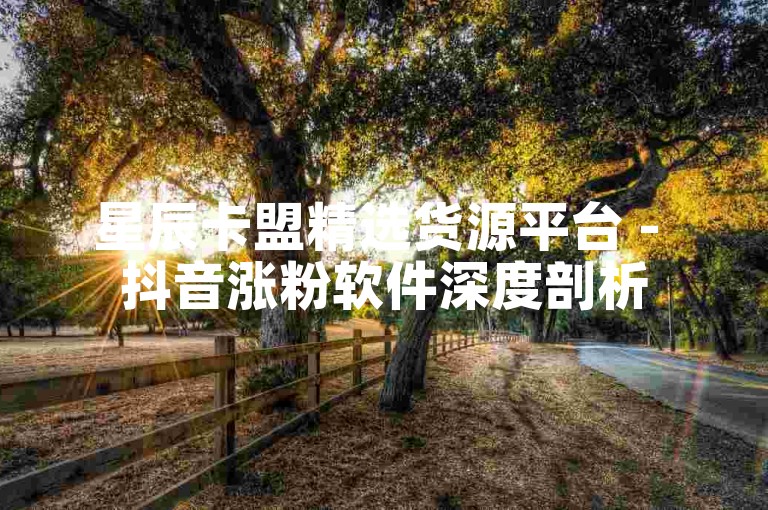 星辰卡盟精选货源平台 - 抖音涨粉软件深度剖析