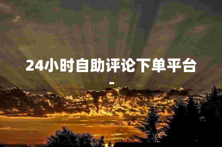 24小时自助评论下单平台-