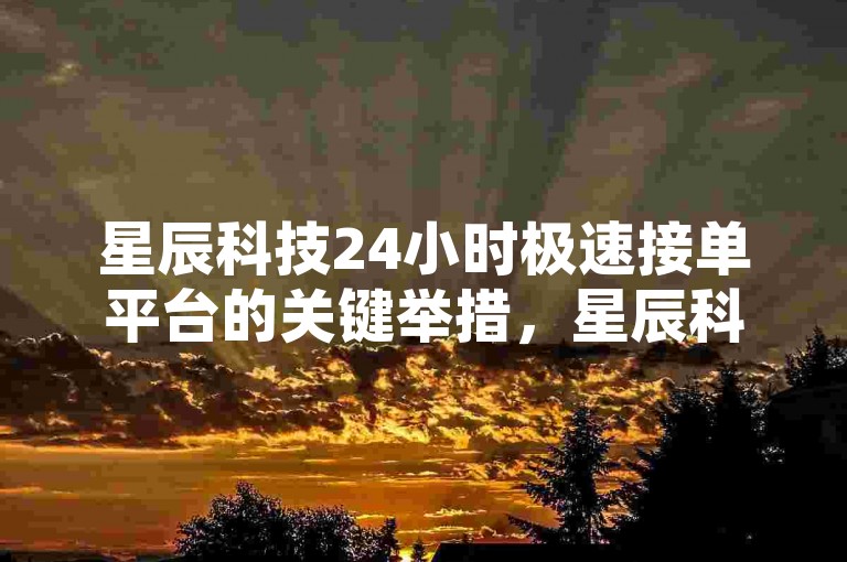 星辰科技24小时极速接单平台的关键举措，星辰科技24小时接单，闪电速度下单流程！新手专享！
