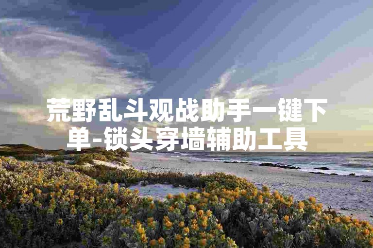 荒野乱斗观战助手一键下单-锁头穿墙辅助工具