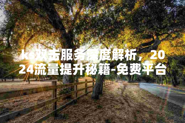 ks双击服务深度解析，2024流量提升秘籍-免费平台下载及自助涨网业务全攻略！
