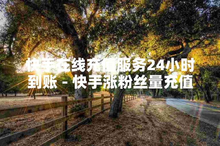 快手在线充值服务24小时到账 - 快手涨粉丝量充值-