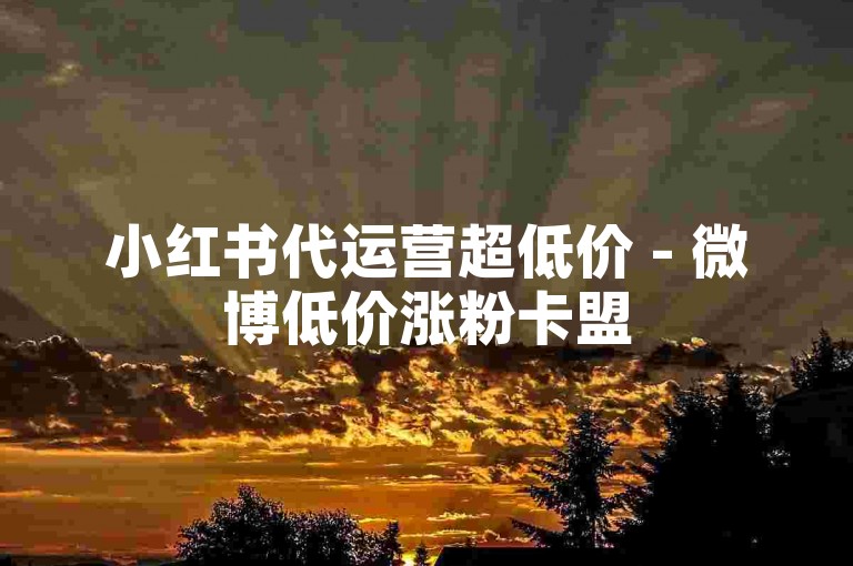 小红书代运营超低价 - 微博低价涨粉卡盟