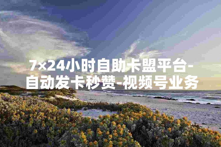 7×24小时自助卡盟平台-自动发卡秒赞-视频号业务下单真人服务