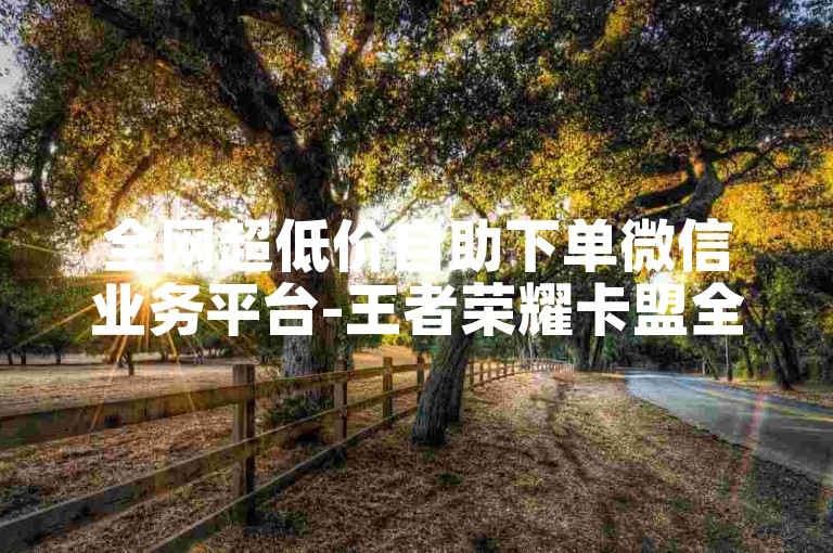 全网超低价自助下单微信业务平台-王者荣耀卡盟全网超低价优质卡盟