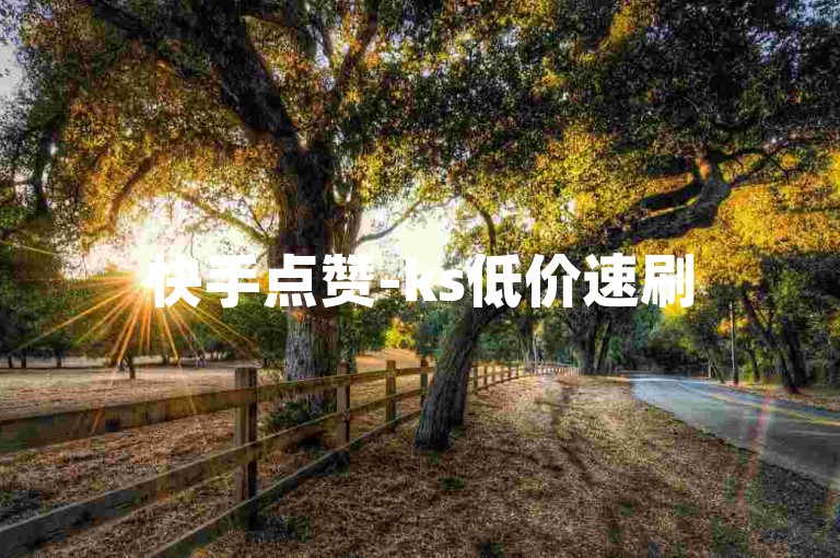 快手点赞-ks低价速刷