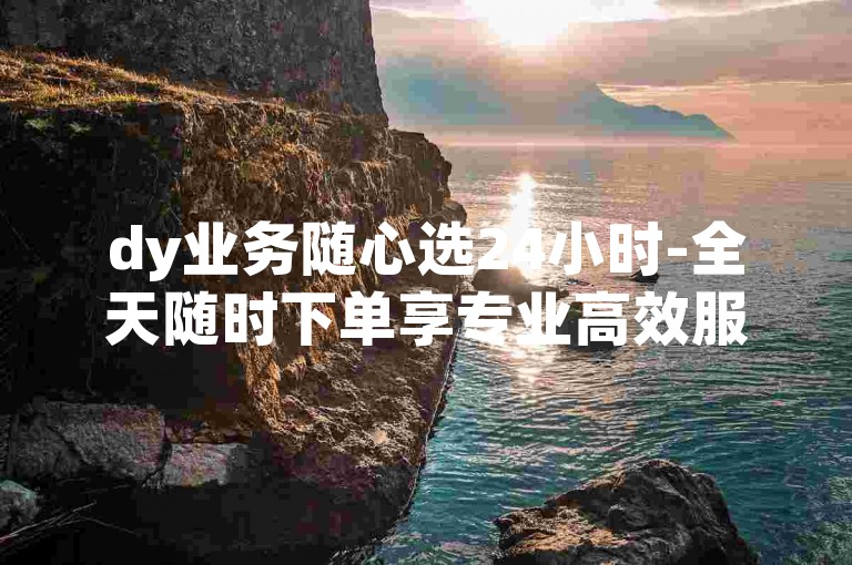 dy业务随心选24小时-全天随时下单享专业高效服务