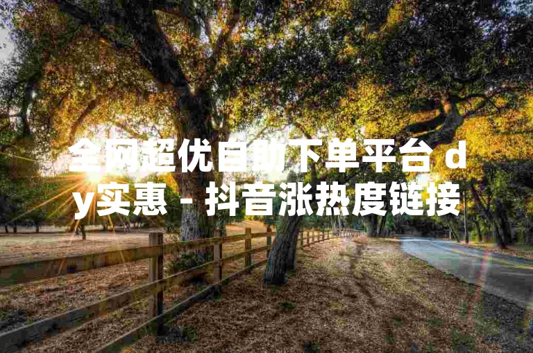 全网超优自助下单平台 dy实惠 - 抖音涨热度链接