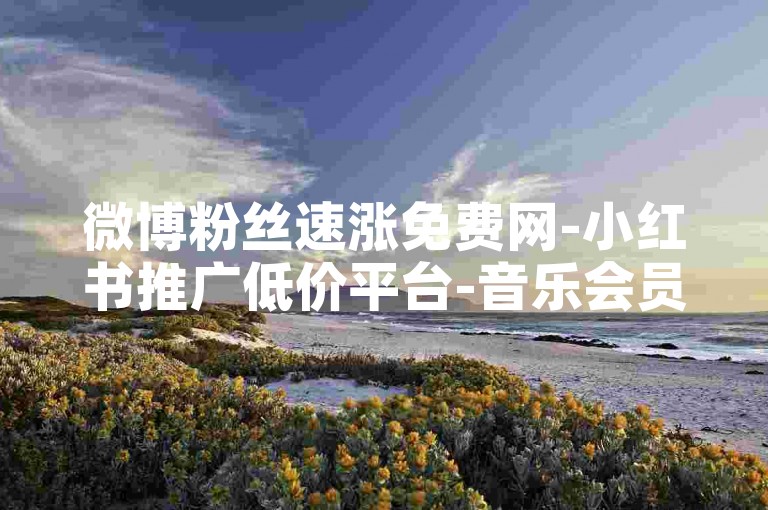 微博粉丝速涨免费网-小红书推广低价平台-音乐会员超低折扣业务站-评论点赞自助下单平台
