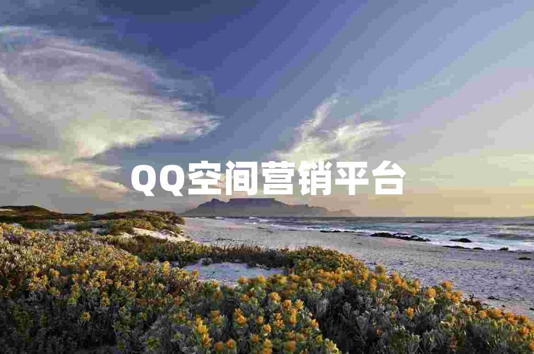 QQ空间营销平台