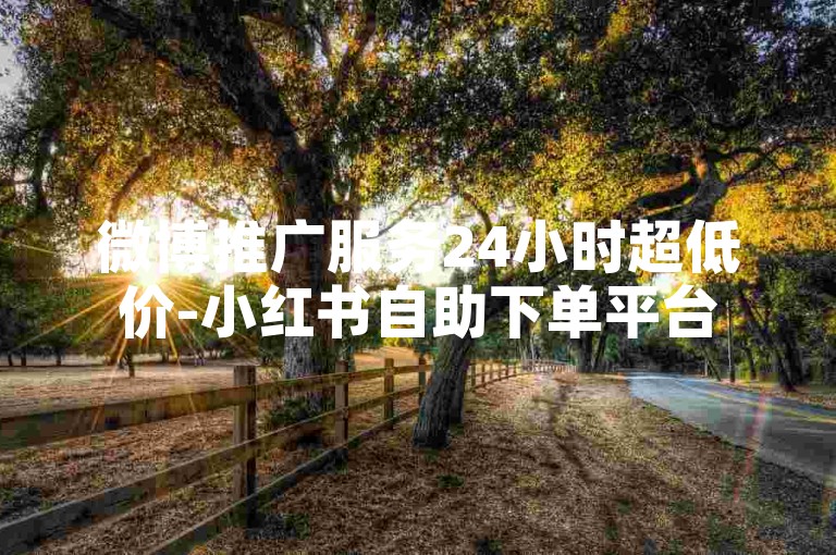 微博推广服务24小时超低价-小红书自助下单平台