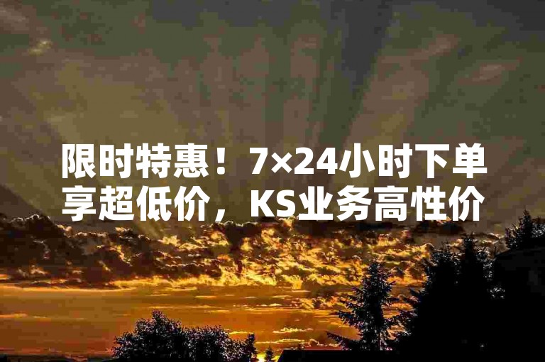 限时特惠！7×24小时下单享超低价，KS业务高性价比之选-稳定不掉粉