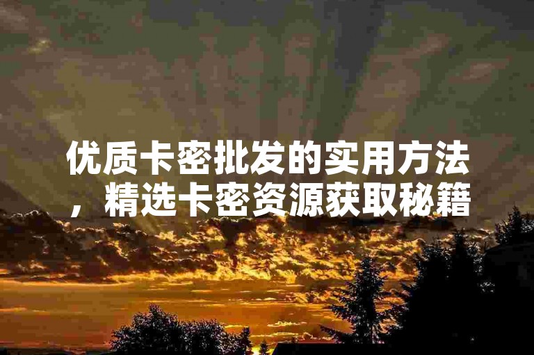 优质卡密批发的实用方法，精选卡密资源获取秘籍，助你畅享优惠！新手必看！-