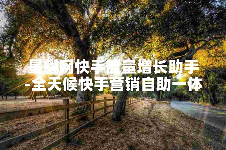 星耀网快手流量增长助手-全天候快手营销自助一体化平台