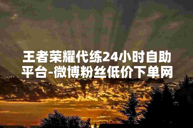 王者荣耀代练24小时自助平台-微博粉丝低价下单网站便捷