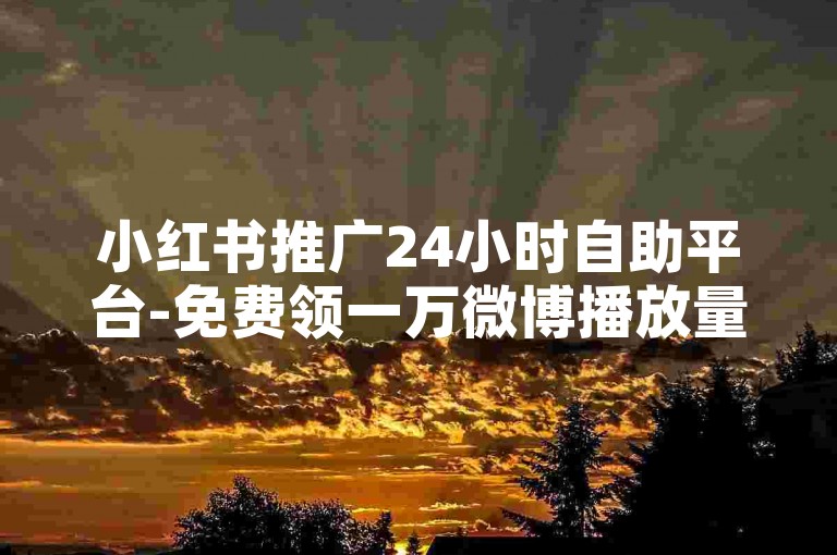 小红书推广24小时自助平台-免费领一万微博播放量-点赞合集-微博免费涨1w粉工具
