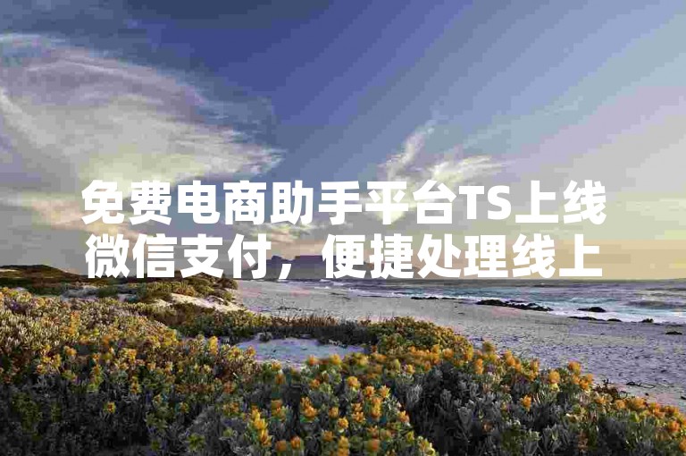 免费电商助手平台TS上线微信支付，便捷处理线上交易