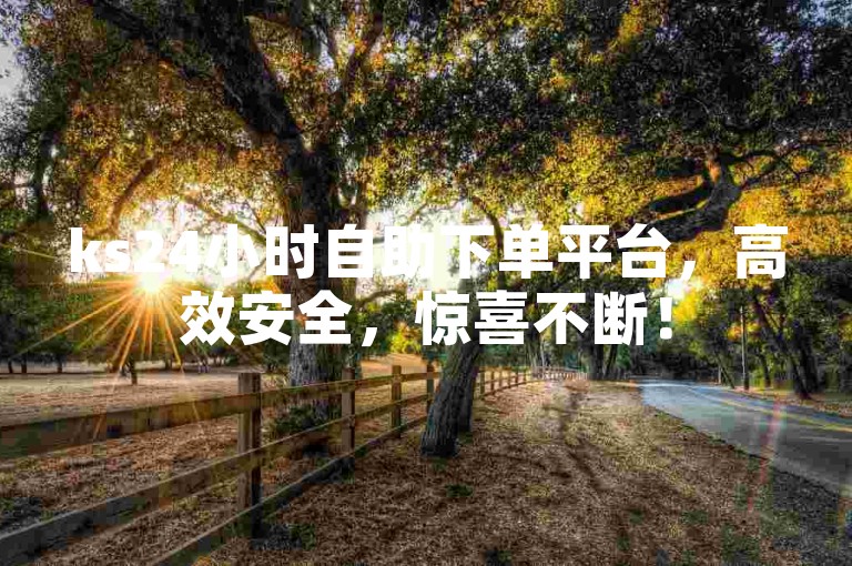 ks24小时自助下单平台，高效安全，惊喜不断！