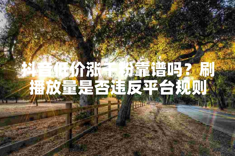抖音低价涨千粉靠谱吗？刷播放量是否违反平台规则
