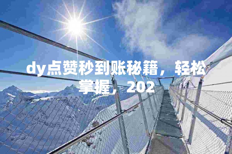 dy点赞秒到账秘籍，轻松掌握，2025快速涨粉新技巧！