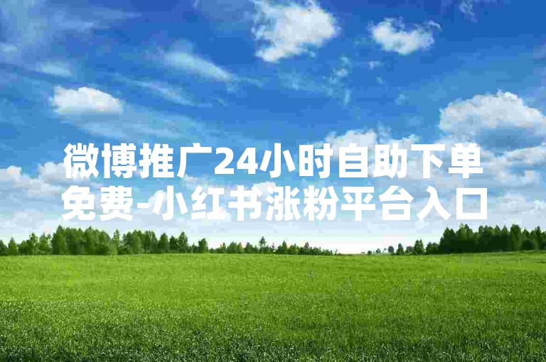 微博推广24小时自助下单免费-小红书涨粉平台入口