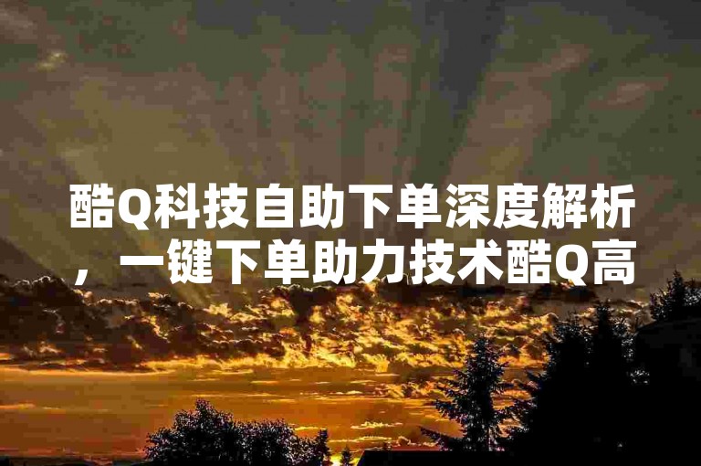 酷Q科技自助下单深度解析，一键下单助力技术酷Q高效运行！2025必备-卡盟全天自动发卡