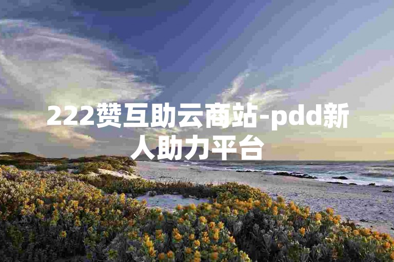 222赞互助云商站-pdd新人助力平台
