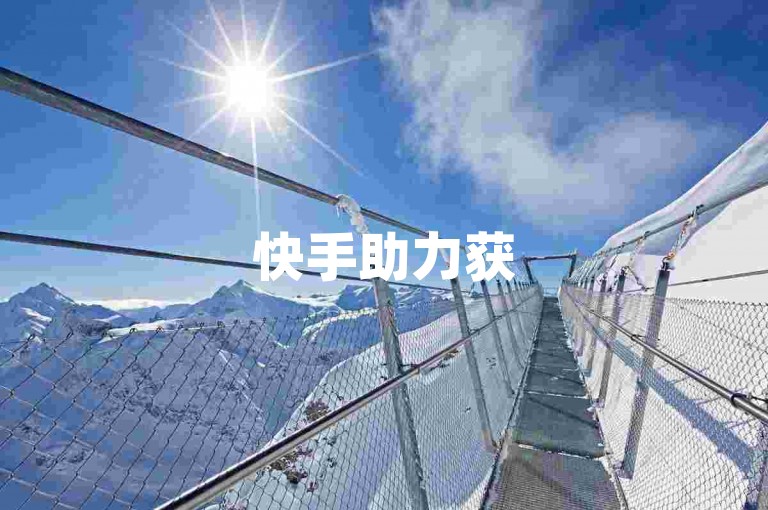 快手助力获5000点赞量 - 抖音评论真实有效