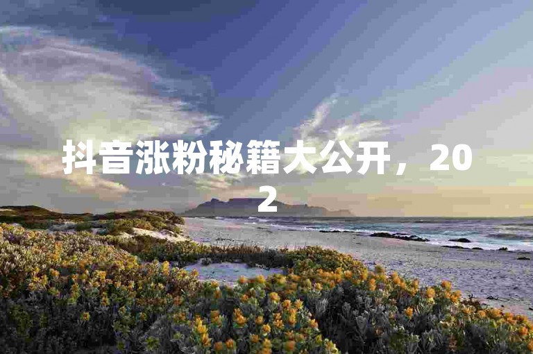 抖音涨粉秘籍大公开,2025低价引流技巧,快手曝光提升攻略!