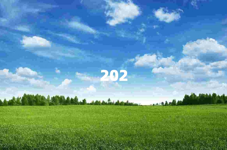 2025超火点赞下单平台自助，24小时热线助力流量推广