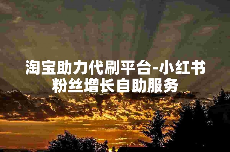 淘宝助力代刷平台-小红书粉丝增长自助服务