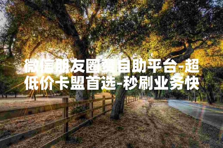微信朋友圈赞自助平台-超低价卡盟首选-秒刷业务快速下单-点赞之选专业平台
