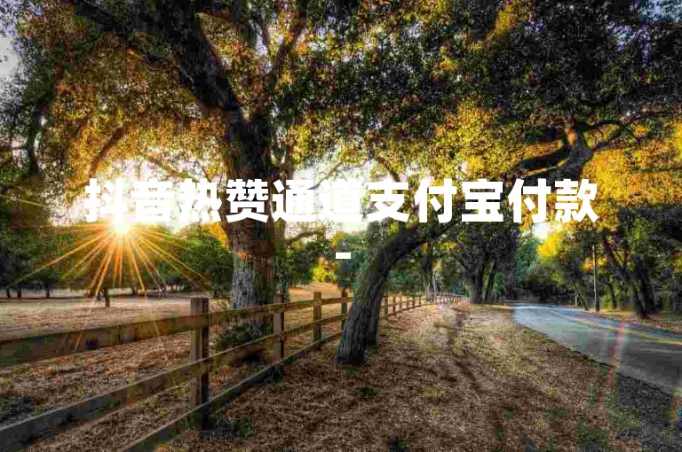 抖音热赞通道支付宝付款-
