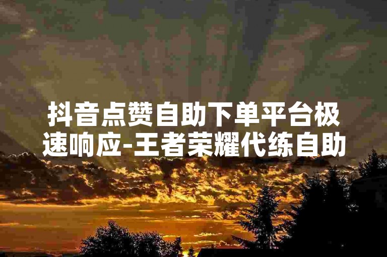 抖音点赞自助下单平台极速响应-王者荣耀代练自助平台全天接单