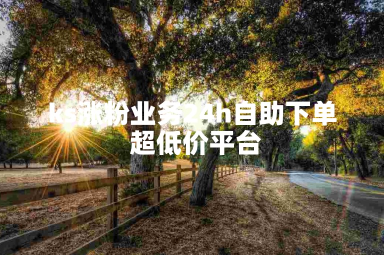 ks涨粉业务24h自助下单 超低价平台