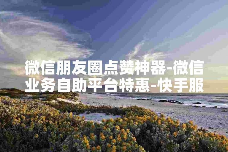 微信朋友圈点赞神器-微信业务自助平台特惠-快手服务-动态自助下单平台--