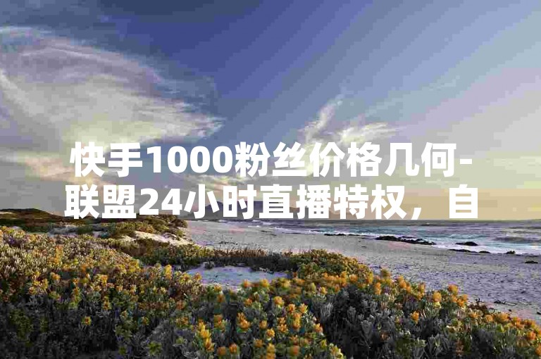 快手1000粉丝价格几何-联盟24小时直播特权，自助选购享折扣！