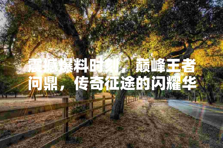 震撼爆料时刻，巅峰王者问鼎，传奇征途的闪耀华章-淘宝业务自助下单网-小红书点赞自助平台汇总-空间说说互赞链接大揭秘！