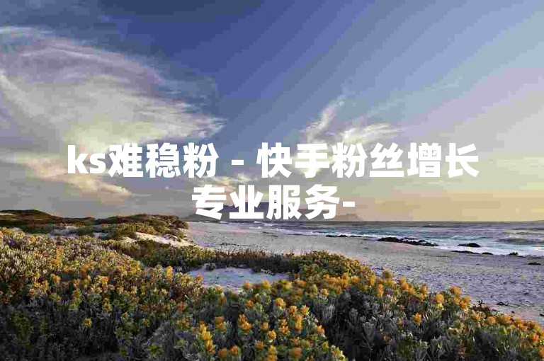 ks难稳粉 - 快手粉丝增长专业服务-
