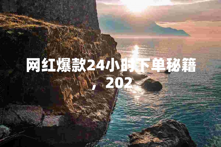 网红爆款24小时下单秘籍，2025必备的销售增长引擎！