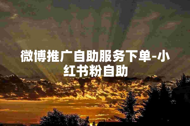微博推广自助服务下单-小红书粉自助