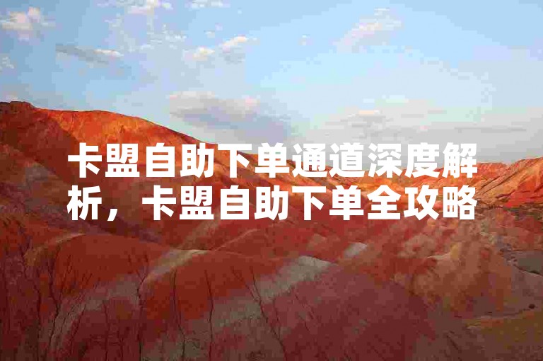 卡盟自助下单通道深度解析，卡盟自助下单全攻略！2024必备
