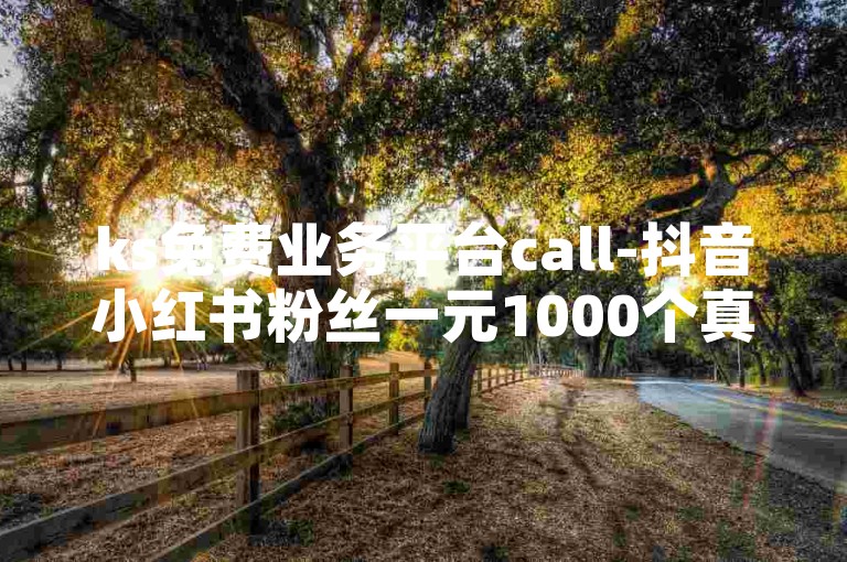 ks免费业务平台call-抖音小红书粉丝一元1000个真粉